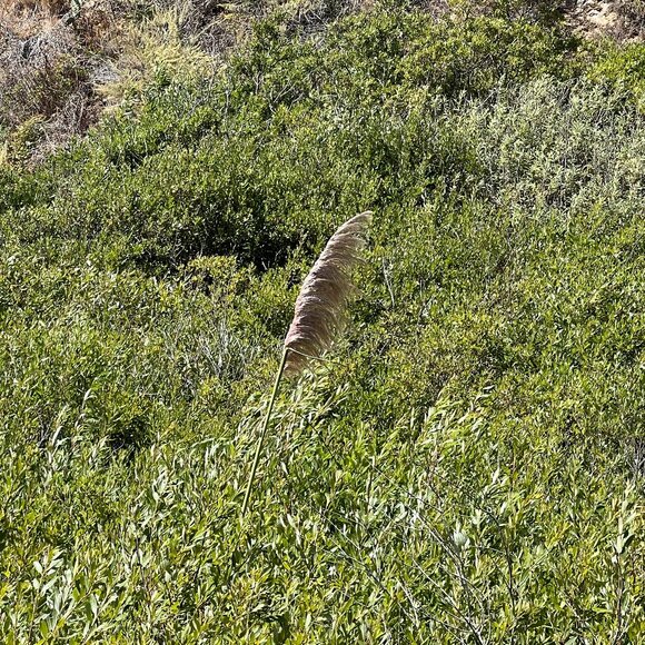 Mona's Closet - Picture 1 of 1